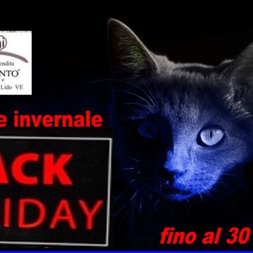 friiday 5